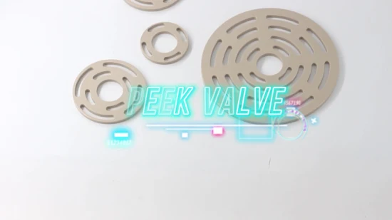 Peek-GF30 Placa de válvula moldada decorativa de aço inoxidável personalizada de precisão