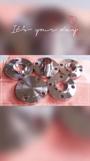 Flange plano de planta de aço inoxidável 316